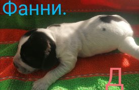 IMG_20210223_125800.jpg (365.41 КБ, Просмотров: 3377) IMG_20210223_125800.jpg