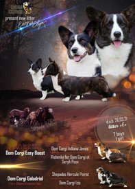 IMG_20210508_194509.jpg (353.63 КБ, Просмотров: 2686) IMG_20210508_194509.jpg