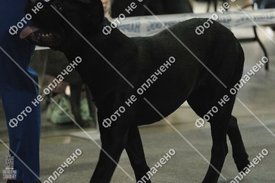 11.jpg (66.49 КБ, Просмотров: 11846) 11.jpg