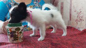 20210711_150801испр.jpg (337.58 КБ, Просмотров: 7184) 20210711_150801испр.jpg