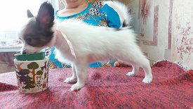 20210711_151317испр.jpg (264 КБ, Просмотров: 7258) 20210711_151317испр.jpg