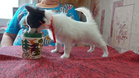 20210711_145334испр.jpg (552.07 КБ, Просмотров: 7598) 20210711_145334испр.jpg