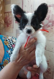 20210711_145522испр.jpg (258.06 КБ, Просмотров: 7264) 20210711_145522испр.jpg