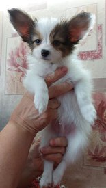 20210711_152243испр.jpg (249.88 КБ, Просмотров: 6954) 20210711_152243испр.jpg