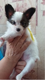 20210711_144935испр.jpg (216.92 КБ, Просмотров: 6972) 20210711_144935испр.jpg