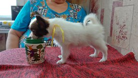 20210711_144700испр.jpg (436.42 КБ, Просмотров: 6971) 20210711_144700испр.jpg