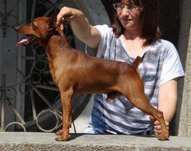 115.jpg (29.73 КБ, Просмотров: 13624) 115.jpg