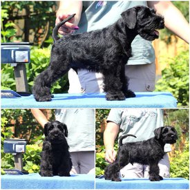 IMG_20210809_100837_837.jpg (156.08 КБ, Просмотров: 2396) IMG_20210809_100837_837.jpg