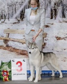 E6A6979D-8723-4B3B-B63C-83E92F179E49.jpeg (40.98 КБ, Просмотров: 2320) E6A6979D-8723-4B3B-B63C-83E92F179E49.jpeg