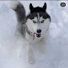 C19D556C-4E77-40E7-A3CF-797E977205B2.jpeg (25.1 КБ, Просмотров: 2320) C19D556C-4E77-40E7-A3CF-797E977205B2.jpeg