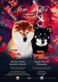 WhatsApp Image 2021-09-10 at 20.30.15.jpeg (286.5 КБ, Просмотров: 2594) WhatsApp Image 2021-09-10 at 20.30.15.jpeg