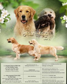 Макет_cr1.jpg (143.19 КБ, Просмотров: 2435) Макет_cr1.jpg