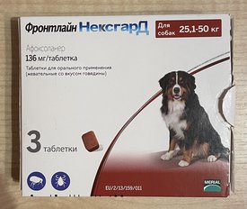 6A381E66-A69D-4B44-BD01-999A057DC0CA.jpeg (818.02 КБ, Просмотров: 15471) 6A381E66-A69D-4B44-BD01-999A057DC0CA.jpeg