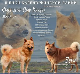 IMG_20211014_110946.jpg (293.28 КБ, Просмотров: 6186) IMG_20211014_110946.jpg