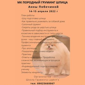 image-23-03-22-09-34.jpeg (85.62 КБ, Просмотров: 36393) image-23-03-22-09-34.jpeg