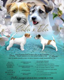 FB_IMG_1650506323569.jpg (80.26 КБ, Просмотров: 8557) FB_IMG_1650506323569.jpg