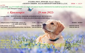 Dog-dogs-39667330-1440-900.jpg (400.79 КБ, Просмотров: 10085) Dog-dogs-39667330-1440-900.jpg