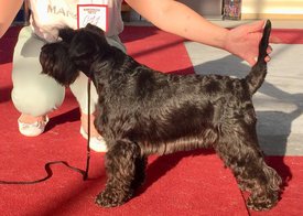 lpi0a4pjx4i0hlm3rm8tbl1aruhhgvvb.jpg (204.49 КБ, Просмотров: 9872) lpi0a4pjx4i0hlm3rm8tbl1aruhhgvvb.jpg