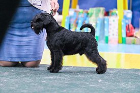 FB_IMG_1647048216082.jpg (66.87 КБ, Просмотров: 10000) FB_IMG_1647048216082.jpg