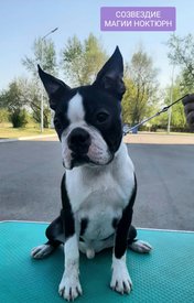 IMG-20220514-WA0016.jpg (181.63 КБ, Просмотров: 9240) IMG-20220514-WA0016.jpg