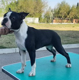 IMG-20220514-WA0019.jpg (159.67 КБ, Просмотров: 9241) IMG-20220514-WA0019.jpg