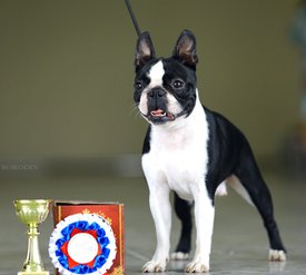 IMG-20220220-WA0033.jpg (137.51 КБ, Просмотров: 9240) IMG-20220220-WA0033.jpg