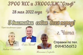 изображение_viber_2022-05-05_21-28-47-747.jpg (105.46 КБ, Просмотров: 11456) изображение_viber_2022-05-05_21-28-47-747.jpg