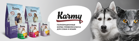 871х255.png (294.41 КБ, Просмотров: 11797) 871х255.png