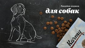 изображение_viber_2022-05-20_18-07-29-889.jpg (89.42 КБ, Просмотров: 10806) изображение_viber_2022-05-20_18-07-29-889.jpg