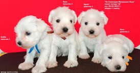 BwvR7BENKZsld8DdRpqzlLQItMzgZJuSIcjAoqEwLoKguycFSWXt2A6sCJhXB7I7N7g3FbKBVvLWzZbf7JG_XQpE (2).jpg (390.13 КБ, Просмотров: 8844) BwvR7BENKZsld8DdRpqzlLQItMzgZJuSIcjAoqEwLoKguycFSWXt2A6sCJhXB7I7N7g3FbKBVvLWzZbf7JG_XQpE (2).jpg