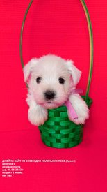 mnJnie4BG8xs_EVxc8ZynNvDBO5wRErPtmkx8PB-kKgtcboNWVA2A1PLNWktewUksBR4SkAc0Uz-Fu9r9RVe3Udn.jpg (198.47 КБ, Просмотров: 9050) mnJnie4BG8xs_EVxc8ZynNvDBO5wRErPtmkx8PB-kKgtcboNWVA2A1PLNWktewUksBR4SkAc0Uz-Fu9r9RVe3Udn.jpg