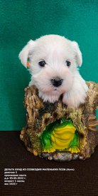 FTq0eCwz5LWJ3_s2dmeQlEAd5ge9FH_A5y9h6zIl4pnkWmM5GCfBj_3pPIpKoRi6hup0B-oWWWlYc91_E5QoButR.jpg (269.5 КБ, Просмотров: 8844) FTq0eCwz5LWJ3_s2dmeQlEAd5ge9FH_A5y9h6zIl4pnkWmM5GCfBj_3pPIpKoRi6hup0B-oWWWlYc91_E5QoButR.jpg