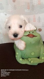 PrLgrKMTkRwQ6J5Q0TRuwYqqVx2u2vWCzIcScmp8I5EK7f2GhoPIgPkJxii68xfEwWVYW43a5__lqbgN5pAsJfix.jpg (223.66 КБ, Просмотров: 8967) PrLgrKMTkRwQ6J5Q0TRuwYqqVx2u2vWCzIcScmp8I5EK7f2GhoPIgPkJxii68xfEwWVYW43a5__lqbgN5pAsJfix.jpg