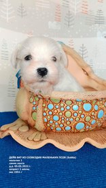 xnISRCQG_QKDB8TJMq_p5rBPra90G6ln5iH9sl5ivjWvqSABH1nTd3cVMe6bcv-Ogub8IAB3CHiCOPYy1GdFtAXi.jpg (314.09 КБ, Просмотров: 9050) xnISRCQG_QKDB8TJMq_p5rBPra90G6ln5iH9sl5ivjWvqSABH1nTd3cVMe6bcv-Ogub8IAB3CHiCOPYy1GdFtAXi.jpg