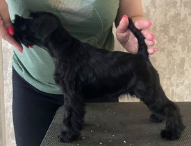 IMG-20220611-WA0009.jpg (201.95 КБ, Просмотров: 9732) IMG-20220611-WA0009.jpg