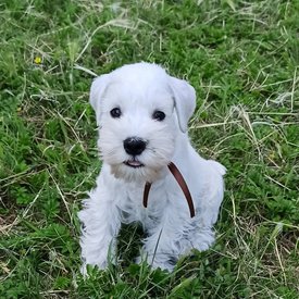 wy3izaJmX-8.jpg (603.88 КБ, Просмотров: 8638) wy3izaJmX-8.jpg