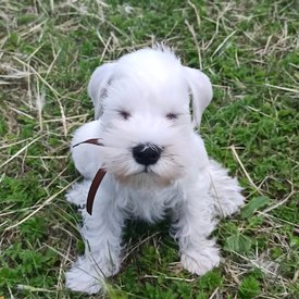 2.jpg (480.44 КБ, Просмотров: 8844) 2.jpg