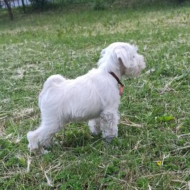 3.jpg (728.83 КБ, Просмотров: 8844) 3.jpg