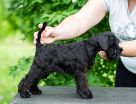 IMG-20220711-WA0007.jpg (180.88 КБ, Просмотров: 9432) IMG-20220711-WA0007.jpg