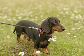 vystavka-70.jpg (146.5 КБ, Просмотров: 1728) vystavka-70.jpg