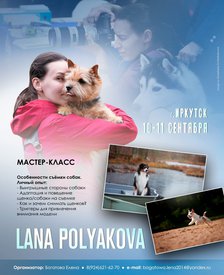 IMG_20220805_121119_751-1.jpg (112.59 КБ, Просмотров: 26901) IMG_20220805_121119_751-1.jpg