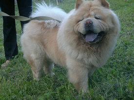 ваня.jpg (66.49 КБ, Просмотров: 18308) ваня.jpg