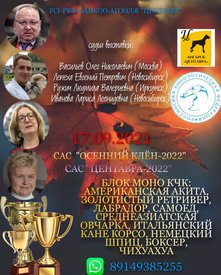 реклама 22.jpg (421.01 КБ, Просмотров: 6924) реклама 22.jpg