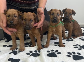 IMG_1124.jpg (474.5 КБ, Просмотров: 12346) IMG_1124.jpg