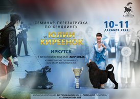 IMG_20221027_215407_386.jpg (132.01 КБ, Просмотров: 21424) IMG_20221027_215407_386.jpg