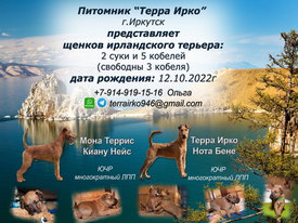 Р-реклама.jpg (381.94 КБ, Просмотров: 12033) Р-реклама.jpg