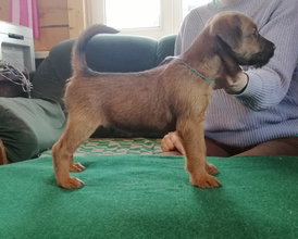 З-Ф.jpg (408.47 КБ, Просмотров: 12256) З-Ф.jpg