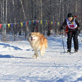 photo_2023-02-03_16-49-48.jpg (127.6 КБ, Просмотров: 8132) photo_2023-02-03_16-49-48.jpg