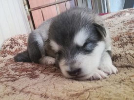 photo_2023-01-26_14-33-44.jpg (90.7 КБ, Просмотров: 8132) photo_2023-01-26_14-33-44.jpg