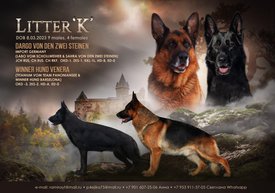 реклама зара чибо.jpg (197.91 КБ, Просмотров: 8488) реклама зара чибо.jpg